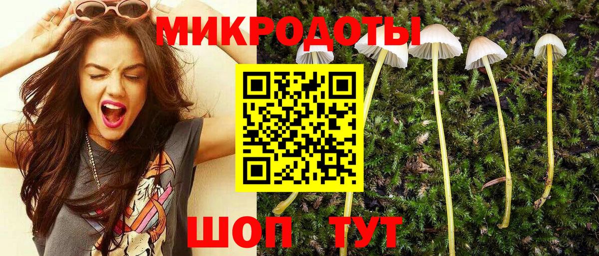 Псилоцибиновые грибы Cubensis Елабуга